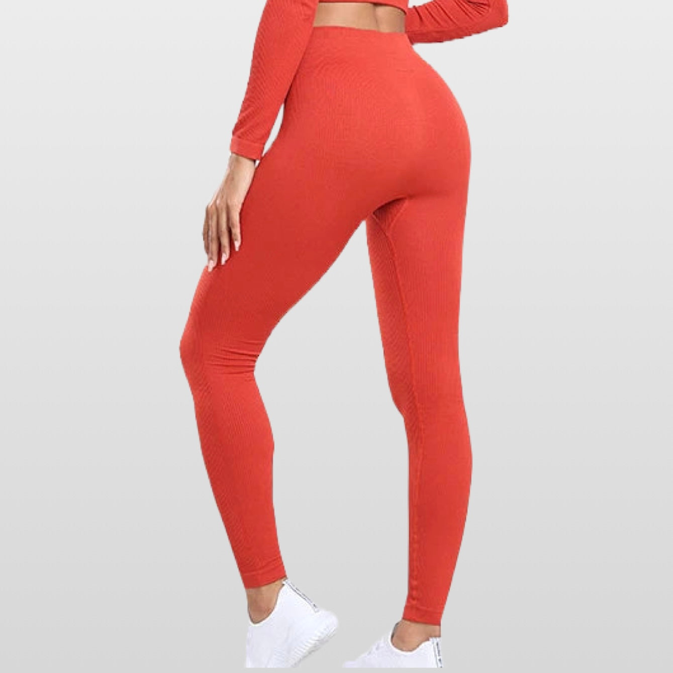 Cipro - Leggings
