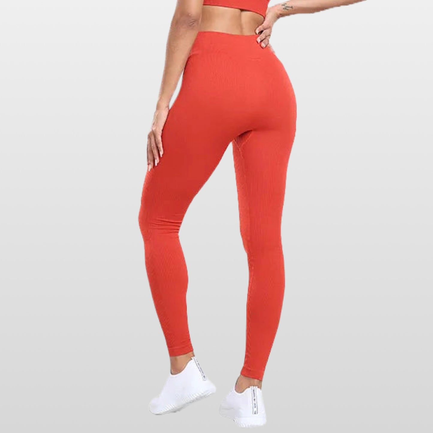 Cipro - Leggings